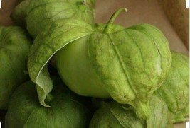 100 Tomatillo - Toma Verde Seeds - $9.00