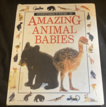 Amazing Animal Babies by Maynard, Christopher - £3.73 GBP
