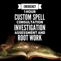 Hire A Professional Spell Caster Psychic Assessment/Spell Consultation - £39.50 GBP