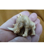 tb-rhino-6) little tan rhino Rhinoceros Tagua NUT palm figurine Bali lov... - €35,71 EUR