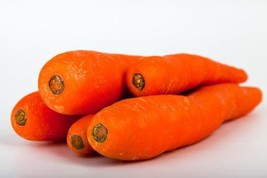 1500 Seeds Danvers Carrot Dark Orange Daucus Carota Vegetable  - £7.60 GBP