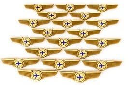 Airlines Pilot Wings 20 Flight Attendant Costumes Gifts Pins - £34.79 GBP