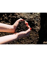 Haunted Graveyard Dirt Death Spirit Spell Love Me Or Die Control Necroma... - $1,008.60 MXN