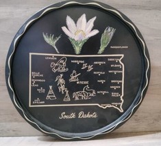Vintage Nashco Hand Painted South Dakota Round Tin Tray State Platter 11... - $13.99