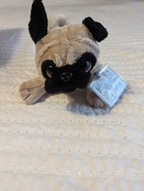 Ganz Webkinz Pug Puppy Dog Plush Stuffed Animal Beige Tan Beanbag HM105 ... - $7.91