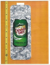 Coke Chameleon Size Canada Dry 12 OZ CAN Soda Flavor Strip CLEARANCE SALE - $28.55 MXN