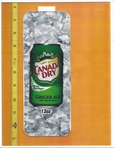 Coke Chameleon Size Canada Dry 12 OZ CAN Soda Flavor Strip CLEARANCE SALE - £1.19 GBP