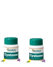 2 X Himalaya Herbal Cystone 60 Tablets Free Ship - $13.57