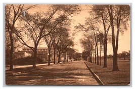 Midway Drive Street View University of Chicago Illinois IL Sepia DB  Postcard Y2 - £4.63 GBP
