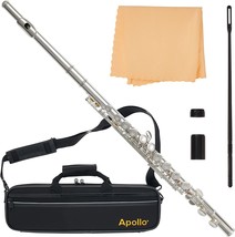 Apollo Flute with C foot, complete with case and accessories - £221.23 GBP