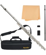 Apollo Flute with C foot, complete with case and accessories - £131.49 GBP