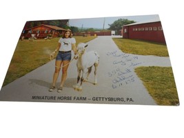 Vintage 1970s Postcard Gettysburg, PA minature horse farm Don Juan - $96.72 MXN