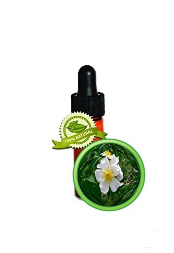 Wild Musk Rose Essential Oil - 100% PURE Rosa Moschata - 1 DRAM (1/8oz) -Skin No