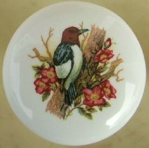 Cabinet Knobs Knob w/ Wood Pecker Woodpecker Bird domestic - $98.83 MXN