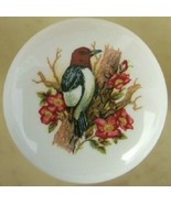 Cabinet Knobs Knob w/ Wood Pecker Woodpecker Bird domestic - $98.83 MXN