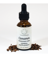 CINNAMON Herbal Supplement / Liquid Extract Tincture / Cinnamomum cassia... - £11.81 GBP