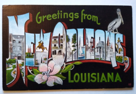 Greetings From New Orleans Louisiana Large Letter Postcard Linen Pelican Kropp - £8.72 GBP