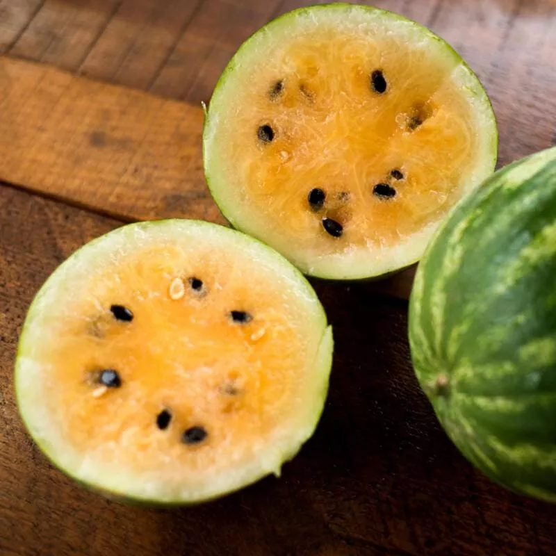 50 Yellow Petite Watermelon Seeds for Garden Planting - £6.39 GBP