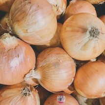 USA Seller Walla Walla Yellow Onion 100 Seeds Allium Cepa - $9.00