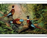Chinese Pheasants Birds Game Birds Of  Idaho ID UNP Linen Postcard R23 - $1.93