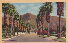 Foothill Residential Drive California CA Postcard A30 - £2.37 GBP
