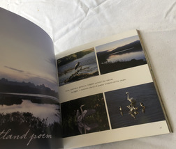 Embrace your inner wild softback book image 2