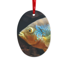 ColorfulFish Ceramic Hanging Ornament - £13.57 GBP