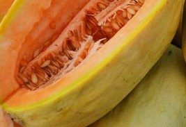 10 Seeds Banana Melon NON-GMO Heirloom Fresh Garden Seeds - $12.00