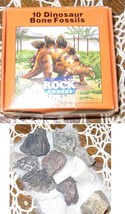 Rock awards 10 dinosaur bone fossils - £15.99 GBP