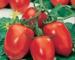 120 Roma Tomato Seeds Heirloom Organic Non Gmo Fresh Fast Shipping - £7.17 GBP