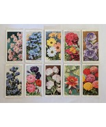 10 Garden Flowers Wills Cigarettes Imperial Tobacco Cards Petunia Zinnia... - $9.89