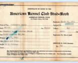 1924 American Kennel Club COLLIE Stud Book Certificate - $28.66