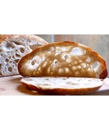 SOURDOUGH bread STARTER San Francisco THE BEAST+ RECIPES 10 starters in ... - $7.76