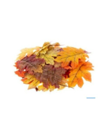 Silk Fall Leave 35pc Autumn Colorful Maple Leaf Home Table Decoration Se... - $17.62 CAD