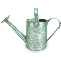 Robert Allen Home &amp; Garden Robert Allen MPT01191 Jameson Metal Watering ... - £39.53 GBP