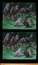 24&quot; X 44&quot; Panel Owls Birds Nocturnal Animals Wildlife Owls Fabric Panel D483.38 - £6.88 GBP
