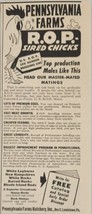 1947 Print Ad Pennsylvania Farms Hatchery R.O.P. Sired Chicks Lewiston,PA - £7.40 GBP