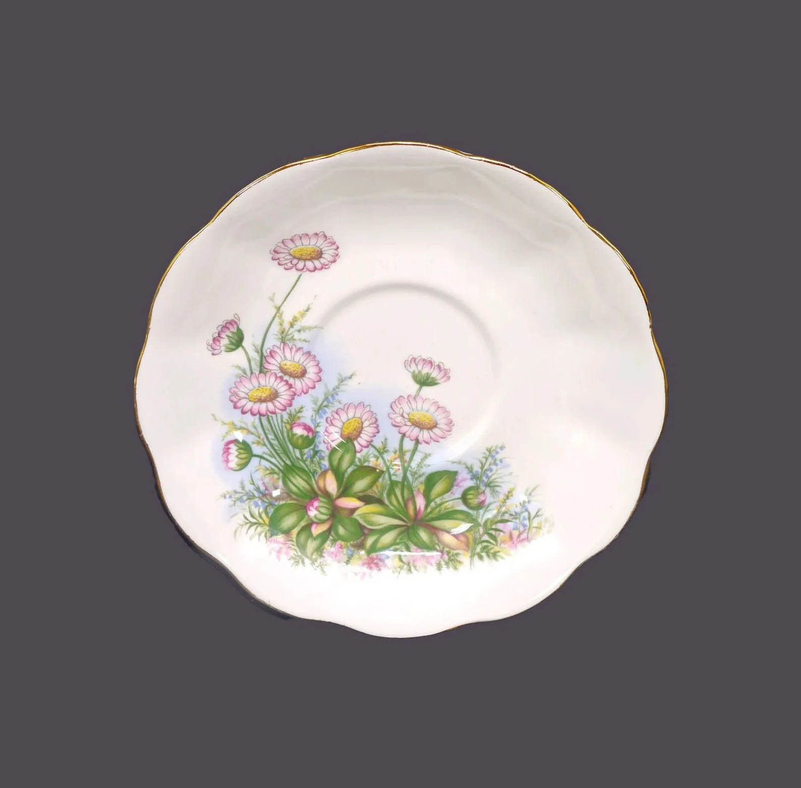 Royal Albert orphaned saucer. Pink Michaelmas daisies | asters made in England. - $44.26