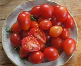 50 Seeds Sweet Treats Tomato Vegetable Garden Edible Canning Fresh Seeds - $10.50