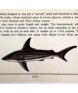 Mako Shark 1939 Salt Water Fish Art Gordon Ertz Color Plate Print PCBG19 - $42.03 CAD
