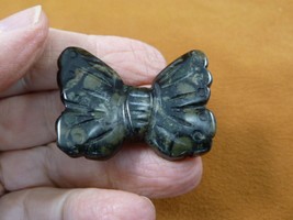 (Y-BUT-564) Green Black Jasper BUTTERFLY stone figurine gemstone butterf... - $18.69