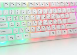 Zio Rainbow Korean English Keyboard USB Wired Membrane with Cover Skin Protector image 6
