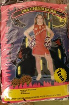 California Costumes USA Cheerleader Teen Costume - £17.59 GBP