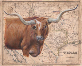 Brown Longhorn Map by Patty Pendergast Longhorn Steer  Wildlife Canvas 32x40 - £310.61 GBP