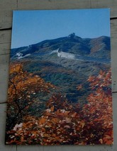 Vintage Color Photo Postcard, Red Leaves At The Great Wall, VG COND - $1.97