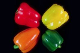 20 Seeds - Sweetest Red,Yellow,Green,Orange Bell Pepper Seeds Strawberry Sweet - £3.18 GBP