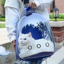 Cute Clear Cat Backpack Carrier - $49.97