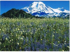 Washington Postcard Mount Baker Wilderness Area  - $3.95