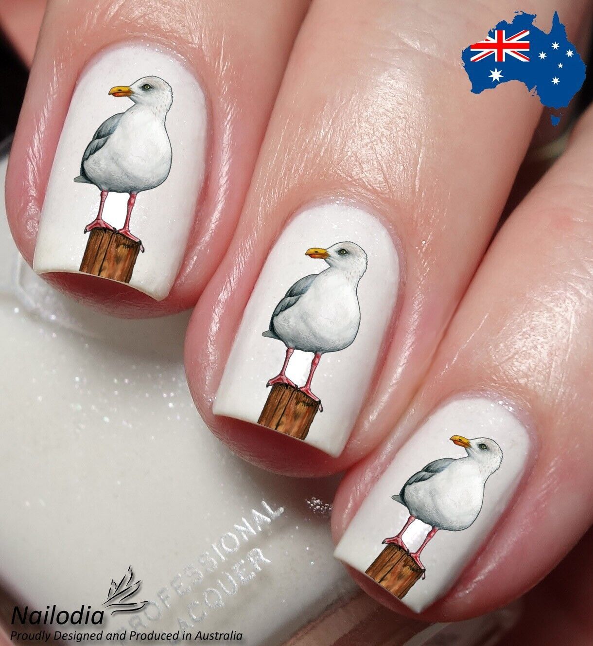 Seagull Bird collection Nail Art Decal Sticker Water Transfer Slider
