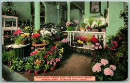 Kensington Flower Shop Interior Boston Massachusetts MA UNP DB Postcard G2 - £3.85 GBP
